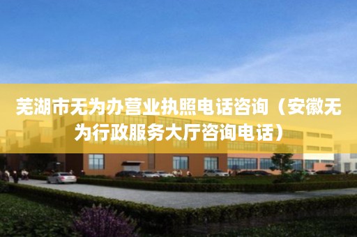 芜湖市无为办营业执照电话咨询（安徽无为行政服务大厅咨询电话）