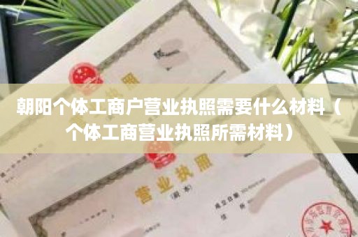朝阳个体工商户营业执照需要什么材料（个体工商营业执照所需材料）