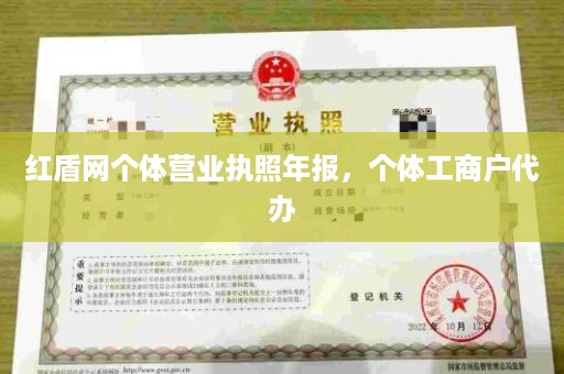 红盾网个体营业执照年报，个体工商户代办