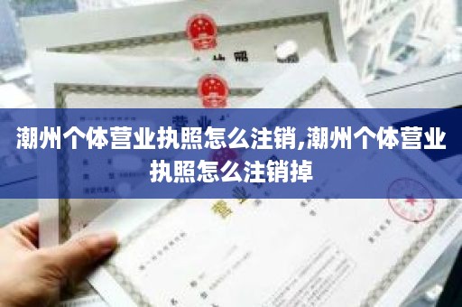 潮州个体营业执照怎么注销,潮州个体营业执照怎么注销掉