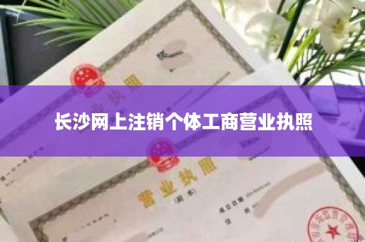 长沙网上注销个体工商营业执照