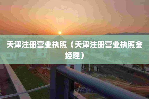 天津注册营业执照（天津注册营业执照金经理）