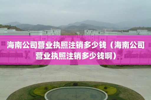 海南公司营业执照注销多少钱（海南公司营业执照注销多少钱啊）