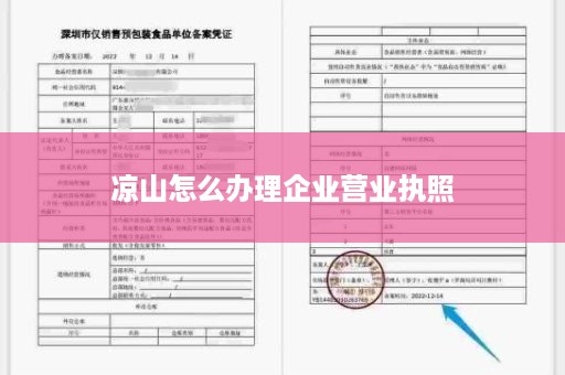 凉山怎么办理企业营业执照