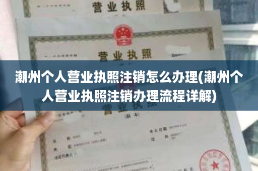 潮州个人营业执照注销怎么办理(潮州个人营业执照注销办理流程详解)