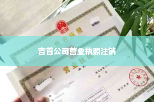 吉首公司营业执照注销