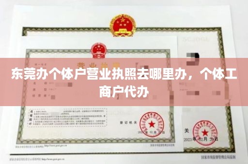 东莞办个体户营业执照去哪里办，个体工商户代办