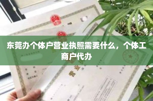 东莞办个体户营业执照需要什么，个体工商户代办