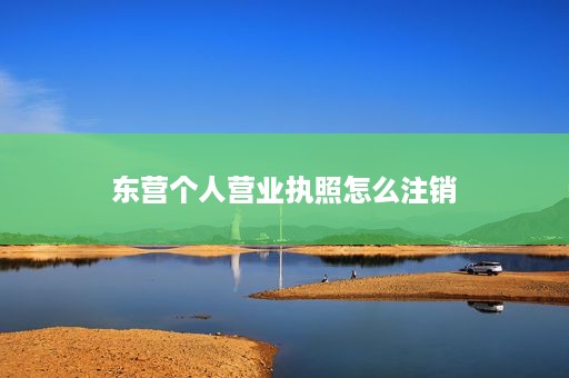 东营个人营业执照怎么注销