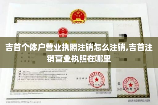 吉首个体户营业执照注销怎么注销,吉首注销营业执照在哪里