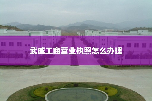 武威工商营业执照怎么办理