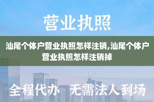 汕尾个体户营业执照怎样注销,汕尾个体户营业执照怎样注销掉