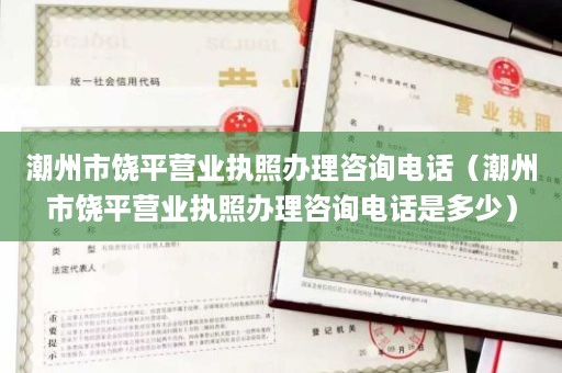 潮州市饶平营业执照办理咨询电话（潮州市饶平营业执照办理咨询电话是多少）