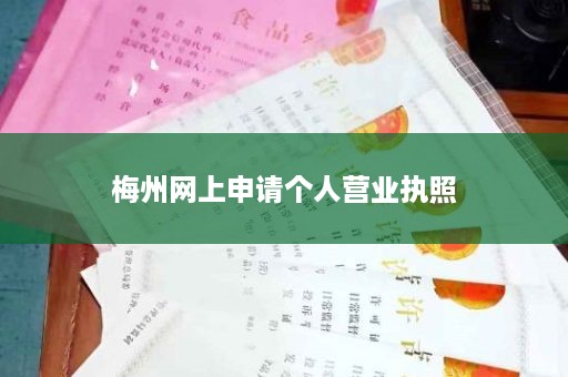 梅州网上申请个人营业执照