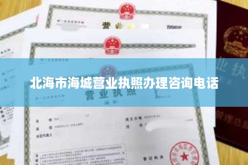 北海市海城营业执照办理咨询电话
