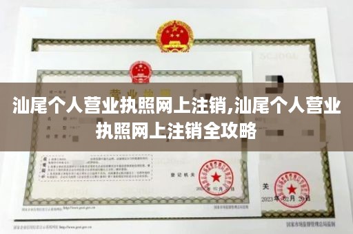 汕尾个人营业执照网上注销,汕尾个人营业执照网上注销全攻略
