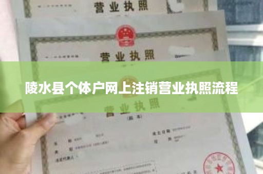 陵水县个体户网上注销营业执照流程