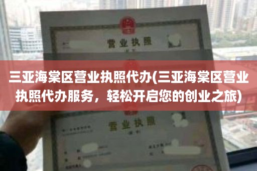 三亚海棠区营业执照代办(三亚海棠区营业执照代办服务，轻松开启您的创业之旅)