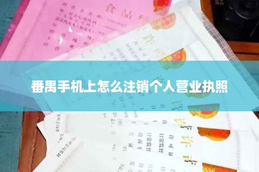 番禺手机上怎么注销个人营业执照