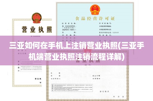 三亚如何在手机上注销营业执照(三亚手机端营业执照注销流程详解)