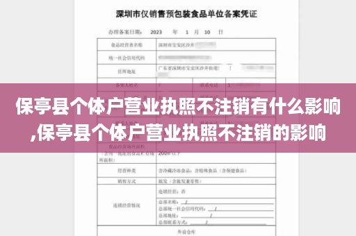 保亭县个体户营业执照不注销有什么影响,保亭县个体户营业执照不注销的影响