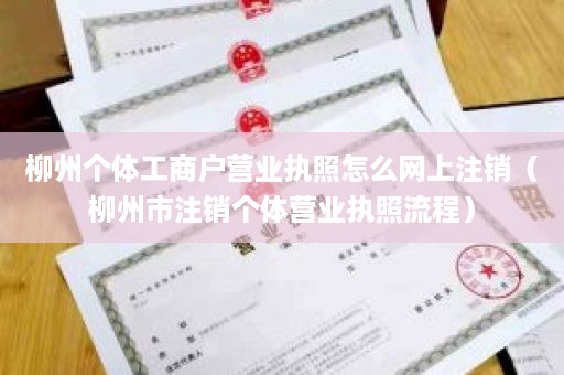 柳州个体工商户营业执照怎么网上注销（柳州市注销个体营业执照流程）