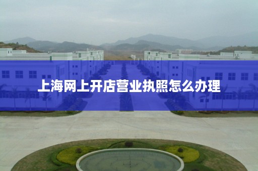 上海网上开店营业执照怎么办理