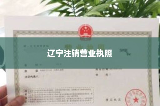 辽宁注销营业执照