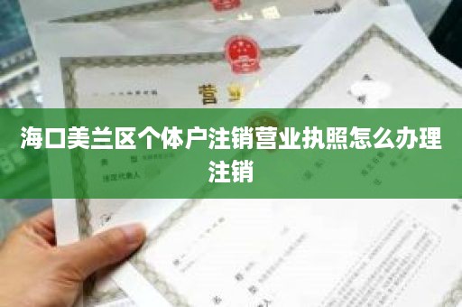海口美兰区个体户注销营业执照怎么办理注销