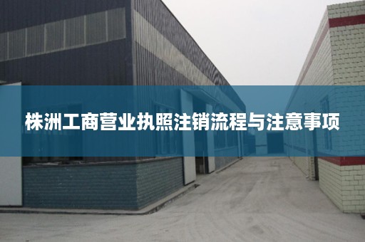 株洲工商营业执照注销流程与注意事项
