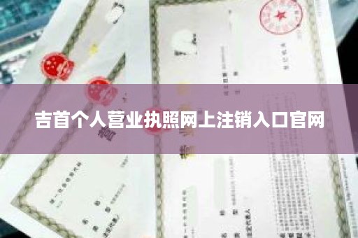吉首个人营业执照网上注销入口官网