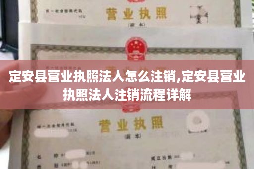定安县营业执照法人怎么注销,定安县营业执照法人注销流程详解