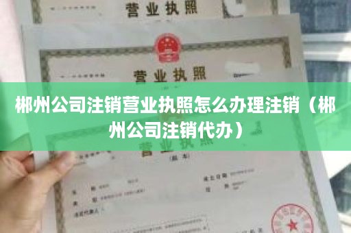 郴州公司注销营业执照怎么办理注销（郴州公司注销代办）