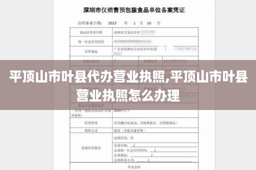 平顶山市叶县代办营业执照,平顶山市叶县营业执照怎么办理