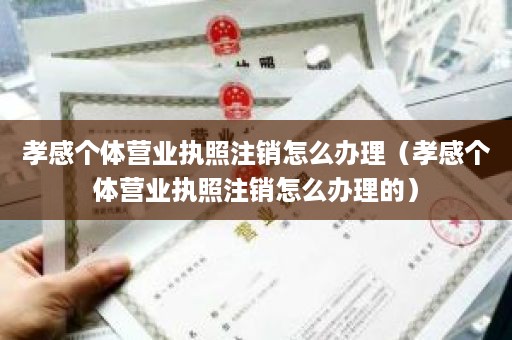 孝感个体营业执照注销怎么办理（孝感个体营业执照注销怎么办理的）