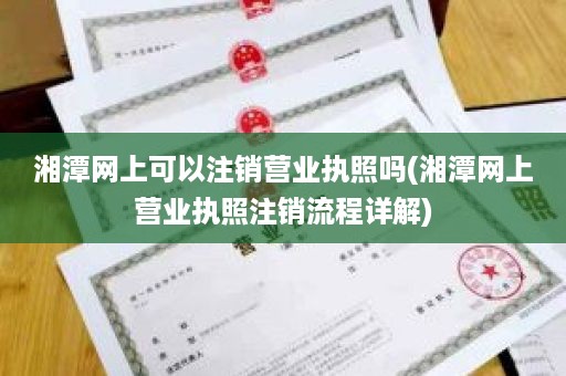 湘潭网上可以注销营业执照吗(湘潭网上营业执照注销流程详解)
