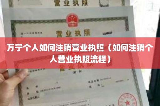 万宁个人如何注销营业执照（如何注销个人营业执照流程）