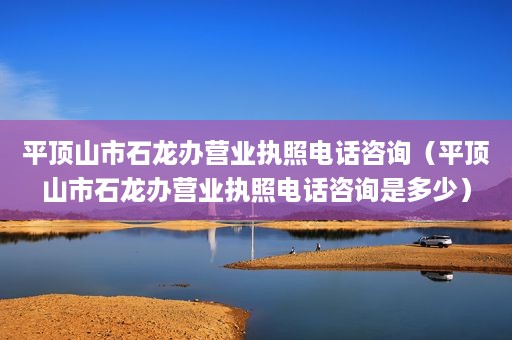 平顶山市石龙办营业执照电话咨询（平顶山市石龙办营业执照电话咨询是多少）