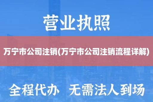 万宁市公司注销(万宁市公司注销流程详解)