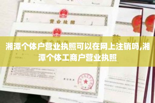 湘潭个体户营业执照可以在网上注销吗,湘潭个体工商户营业执照