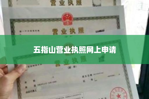 五指山营业执照网上申请
