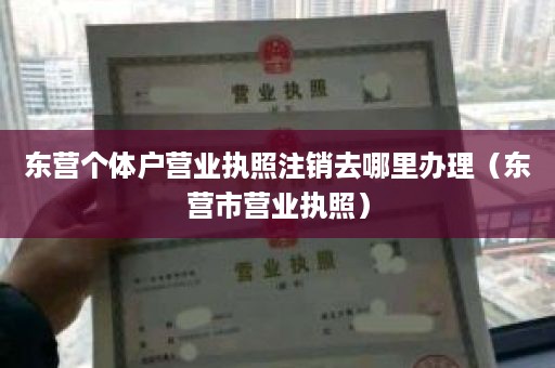 东营个体户营业执照注销去哪里办理（东营市营业执照）