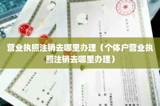 营业执照注销去哪里办理（个体户营业执照注销去哪里办理）