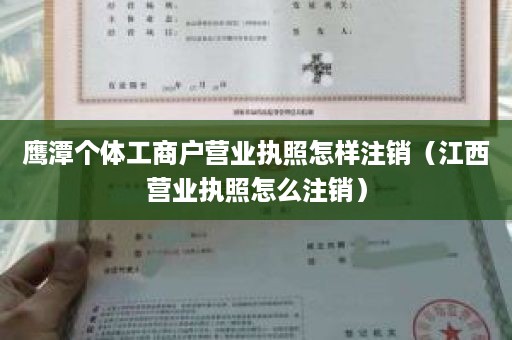 鹰潭个体工商户营业执照怎样注销（江西营业执照怎么注销）