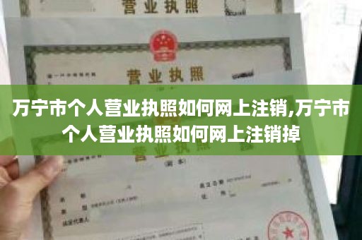 万宁市个人营业执照如何网上注销,万宁市个人营业执照如何网上注销掉