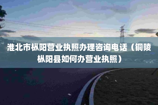 淮北市枞阳营业执照办理咨询电话（铜陵枞阳县如何办营业执照）