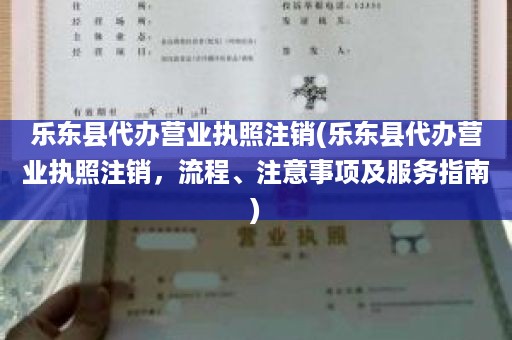 乐东县代办营业执照注销(乐东县代办营业执照注销，流程、注意事项及服务指南)