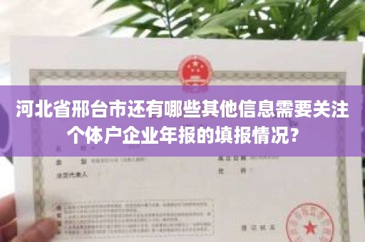 河北省邢台市还有哪些其他信息需要关注个体户企业年报的填报情况？