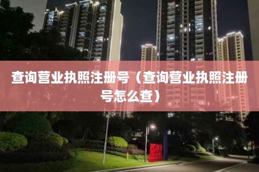 查询营业执照注册号（查询营业执照注册号怎么查）