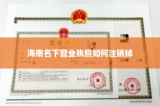 海南名下营业执照如何注销掉
